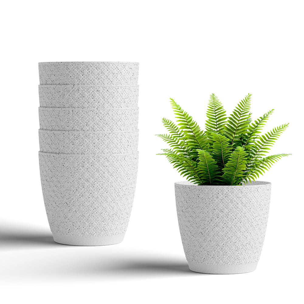 SHERA | CRUZ PLANTER