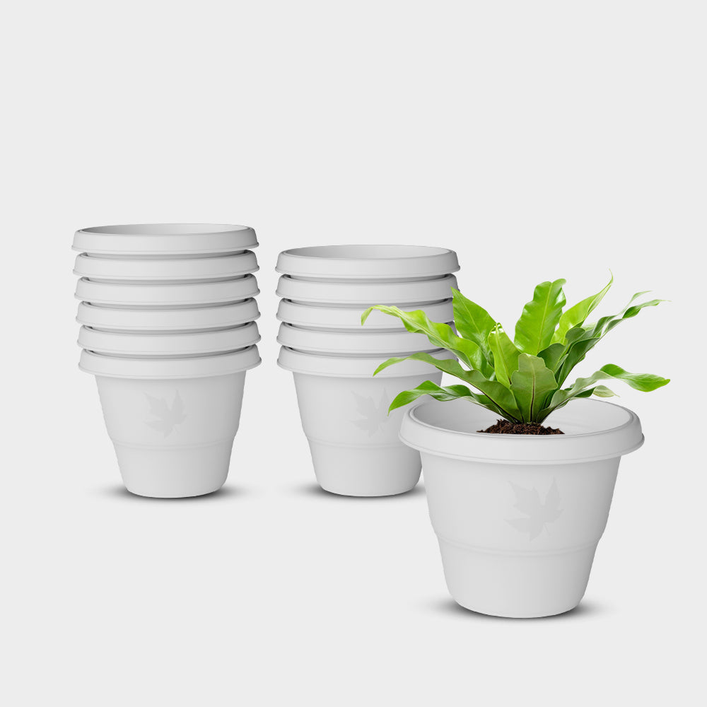 SHERA | RD PLANTER
