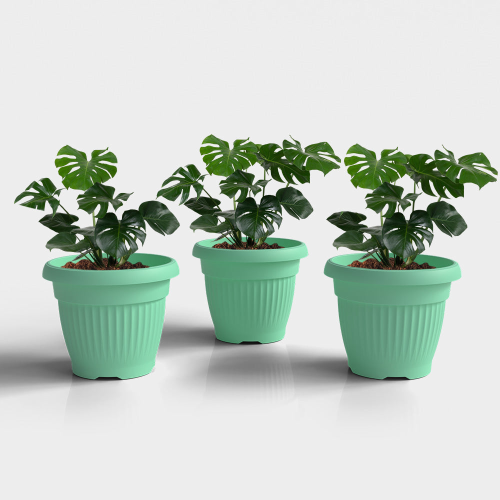 SHERA | BLOOM PLANTER