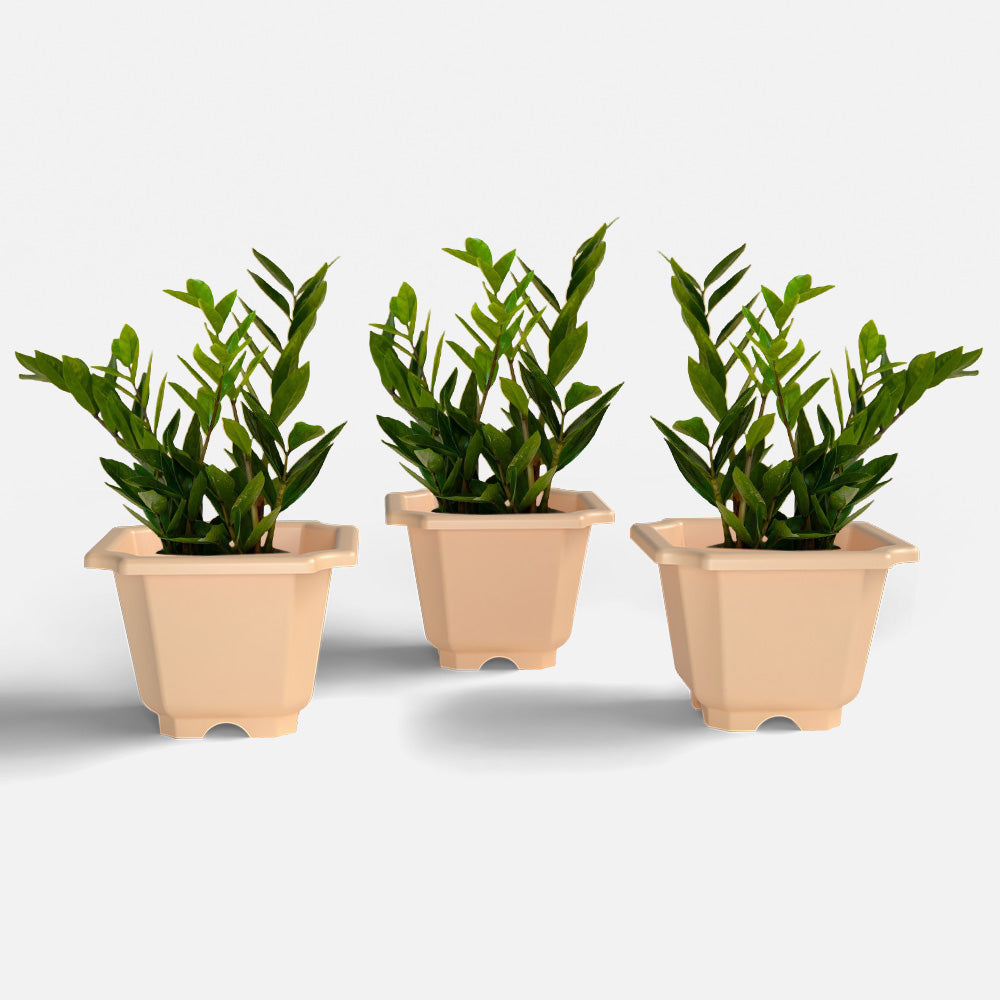 SHERA | OCTA PLANTER SET OF 3