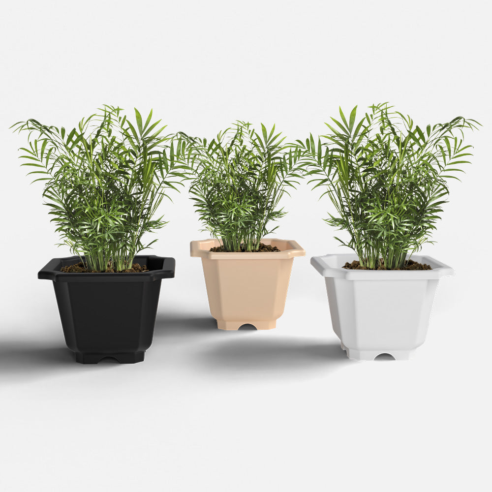 SHERA | OCTA PLANTER SET OF 3