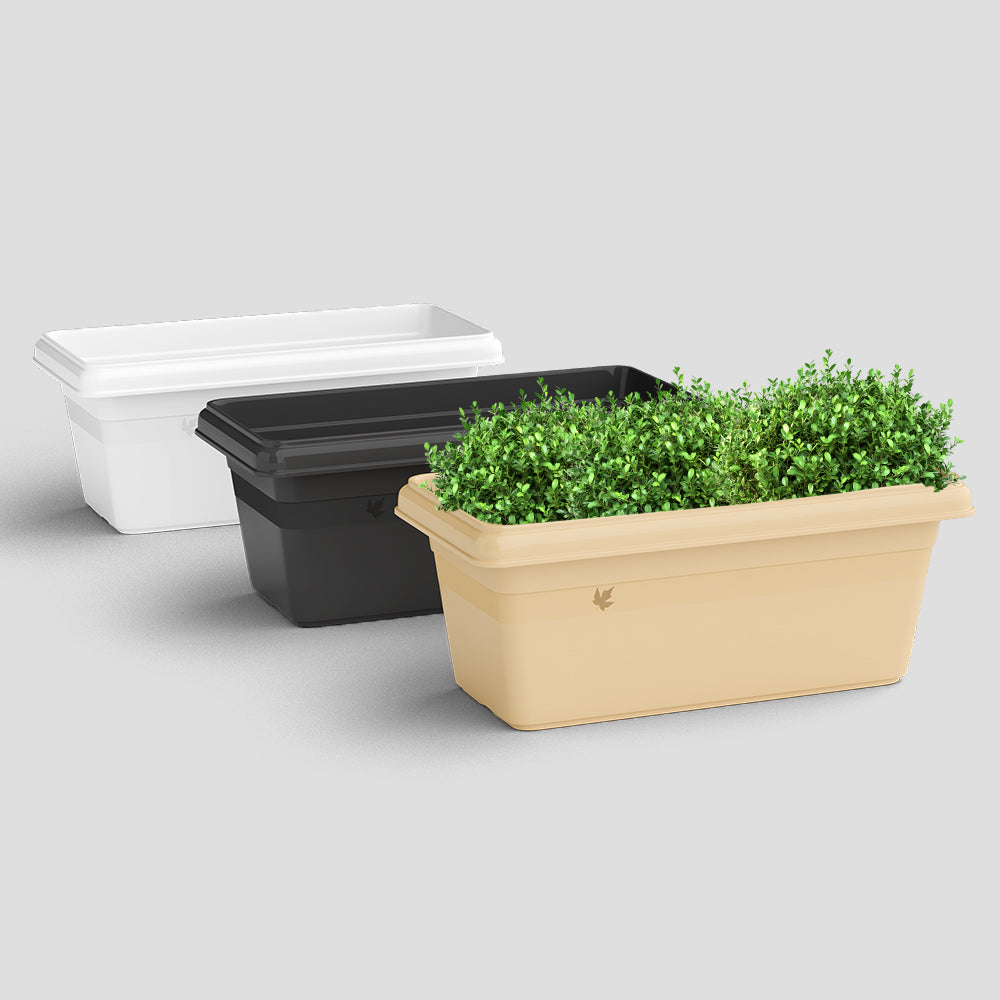 SHERA | TP PLANTER