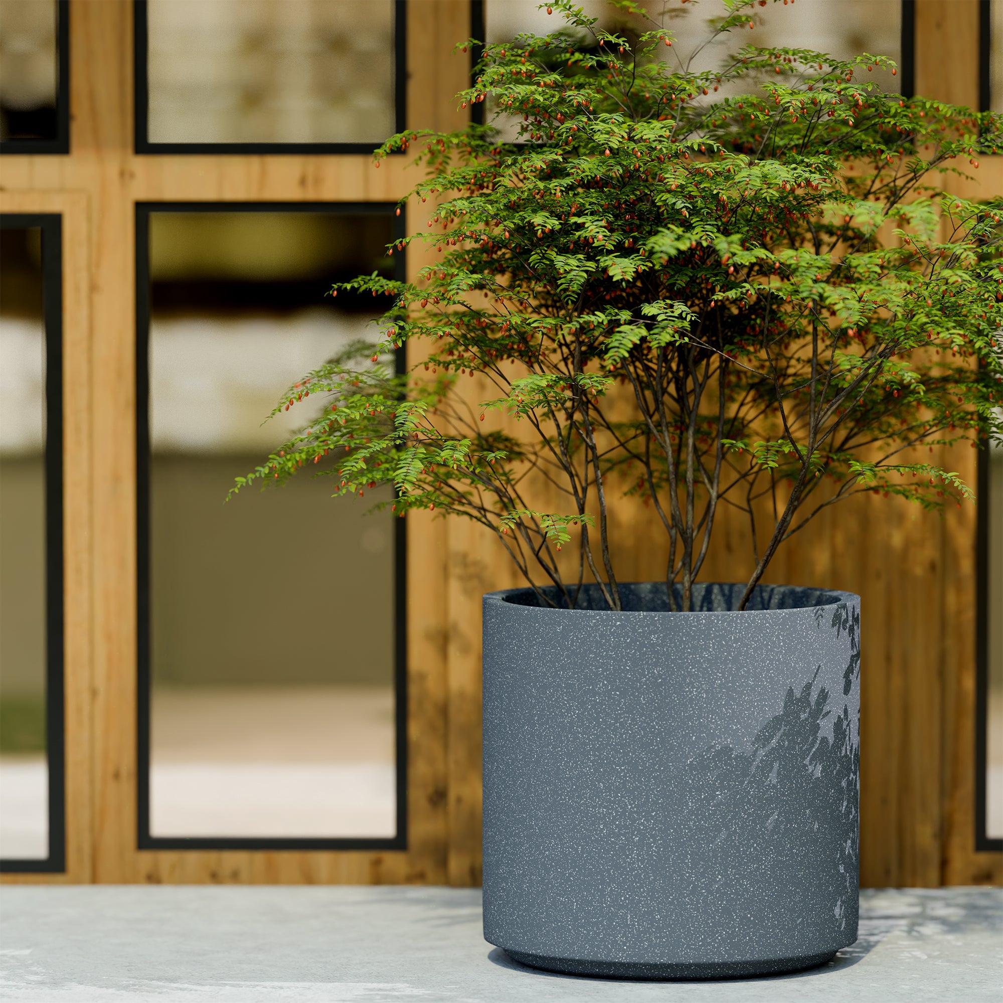 FOX B | CILIN PLANTER