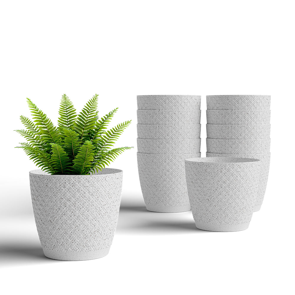 SHERA | CRUZ PLANTER