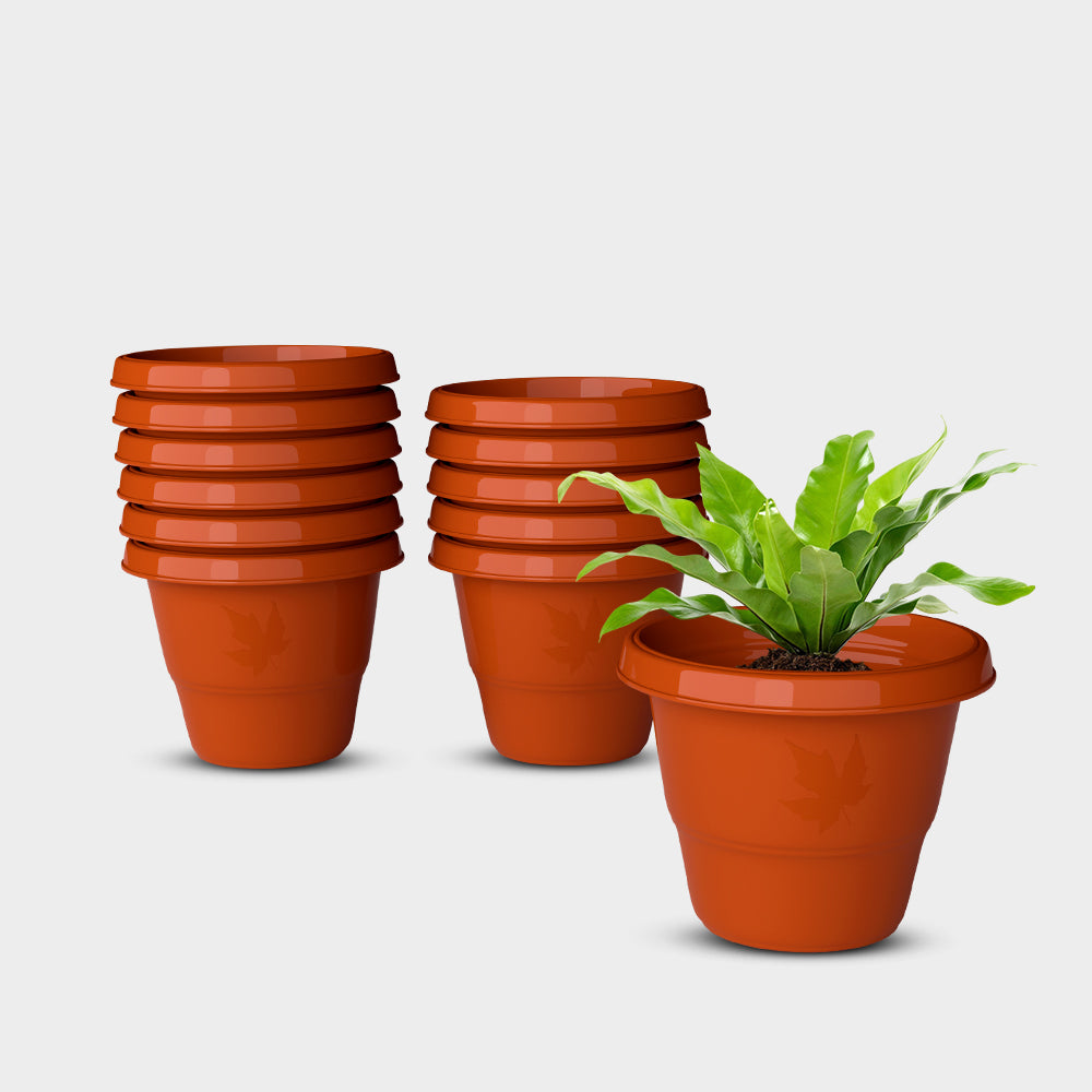SHERA | RD PLANTER