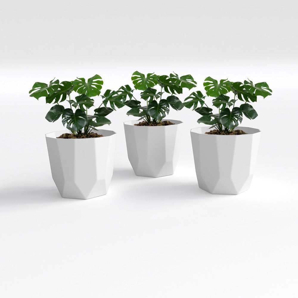 SHERA | HEXA PLANTER