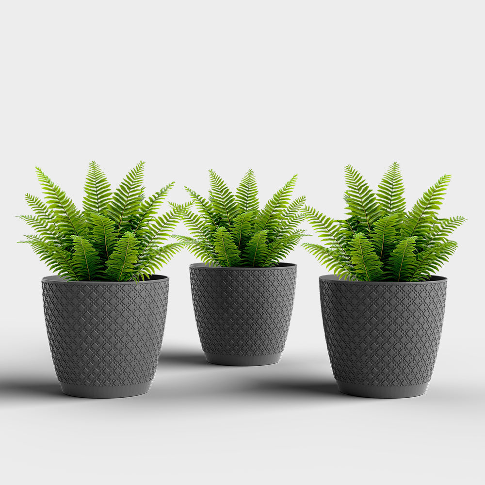 SHERA | CRUZ PLANTER