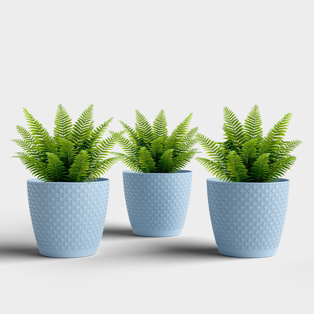 SHERA | CRUZ PLANTER