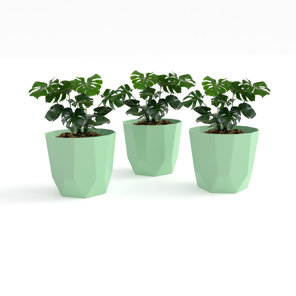 SHERA | HEXA PLANTER