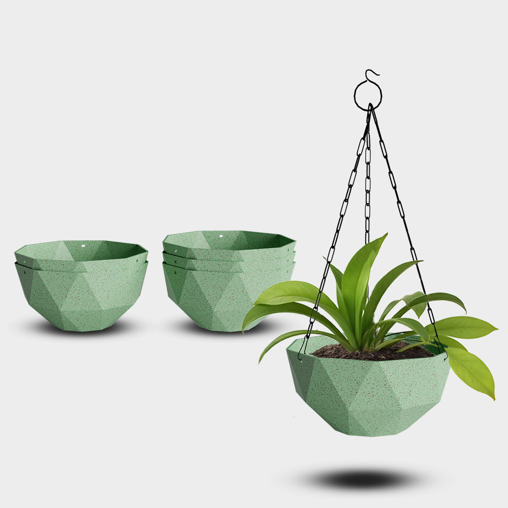 SHERA | DMD KTR BIO HANGING