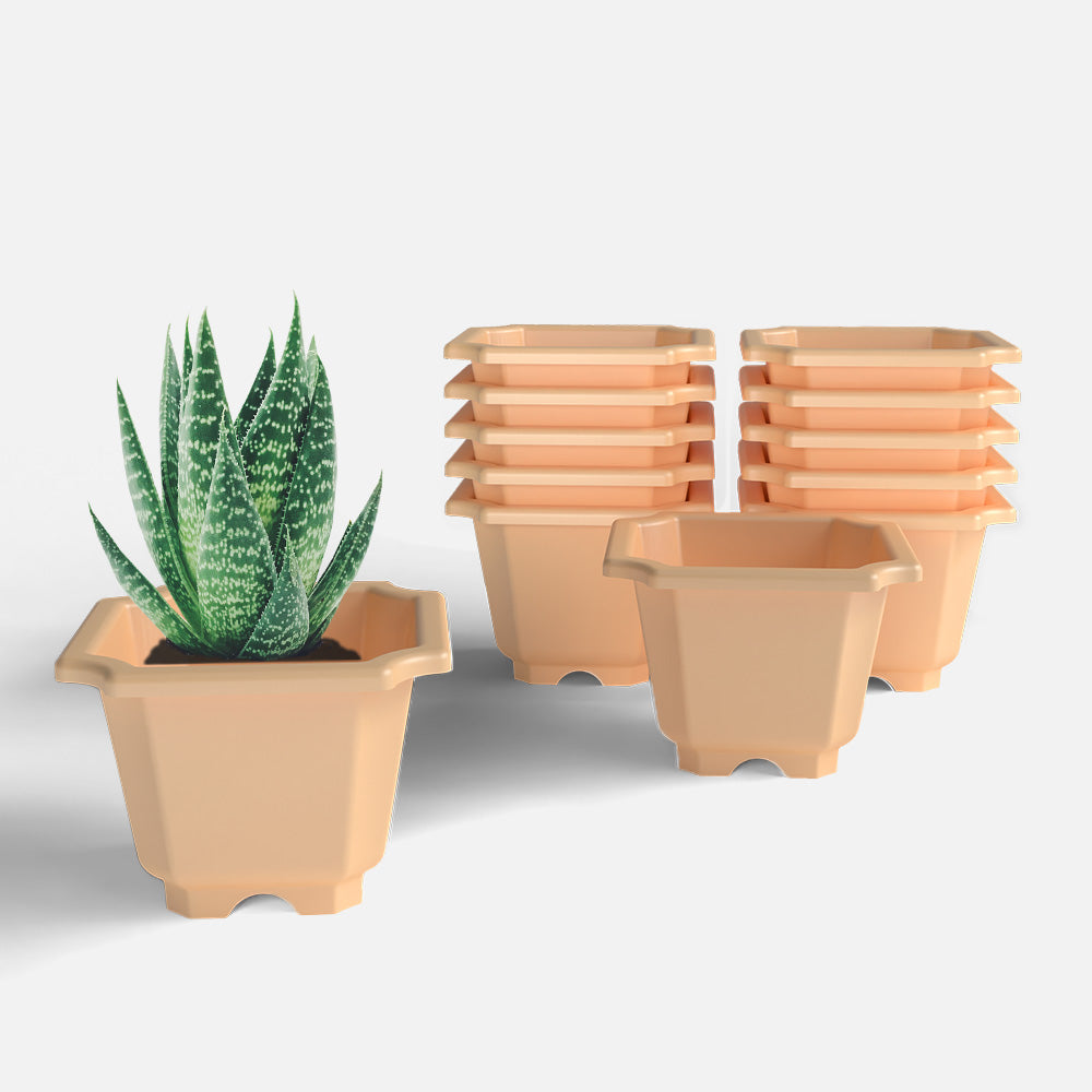 SHERA | OCTA PLANTER SET OF 12