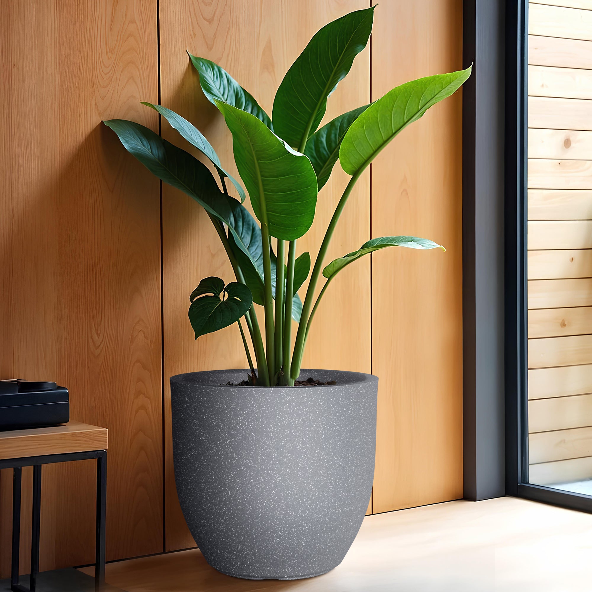 FOX B | P CUP PLANTER