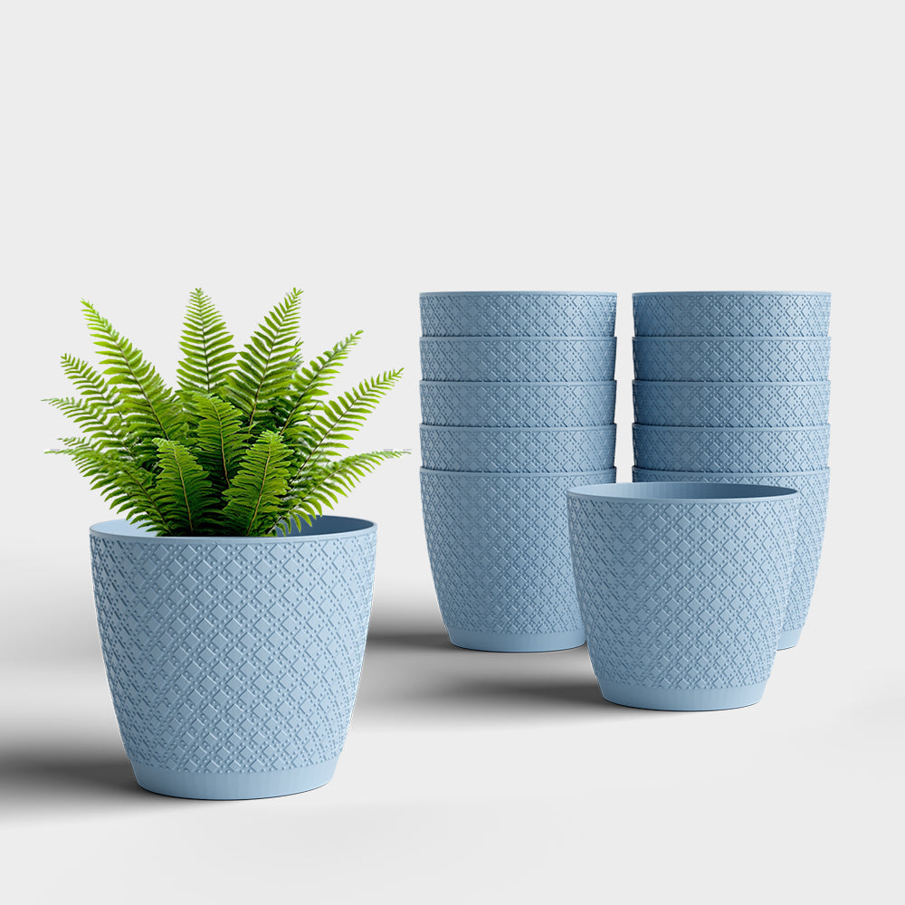 SHERA | CRUZ PLANTER