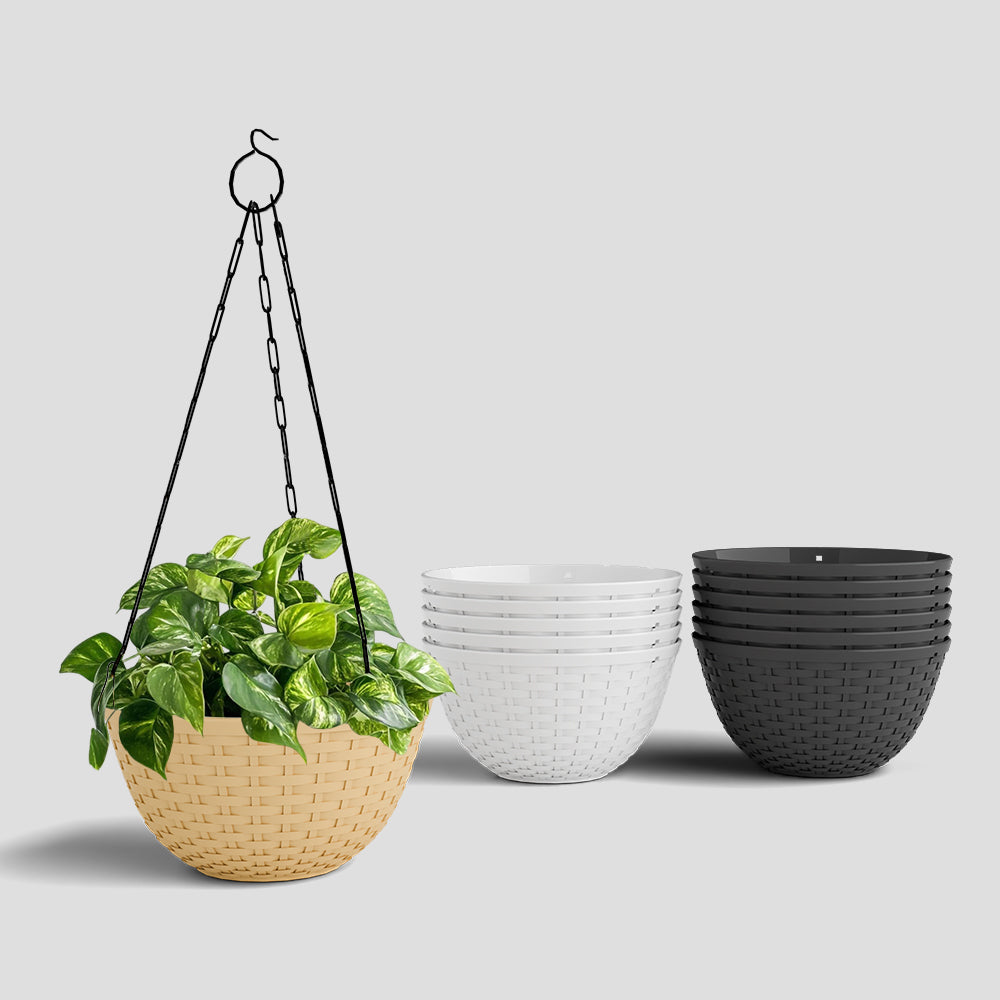 SHERA | CHICK HANGING