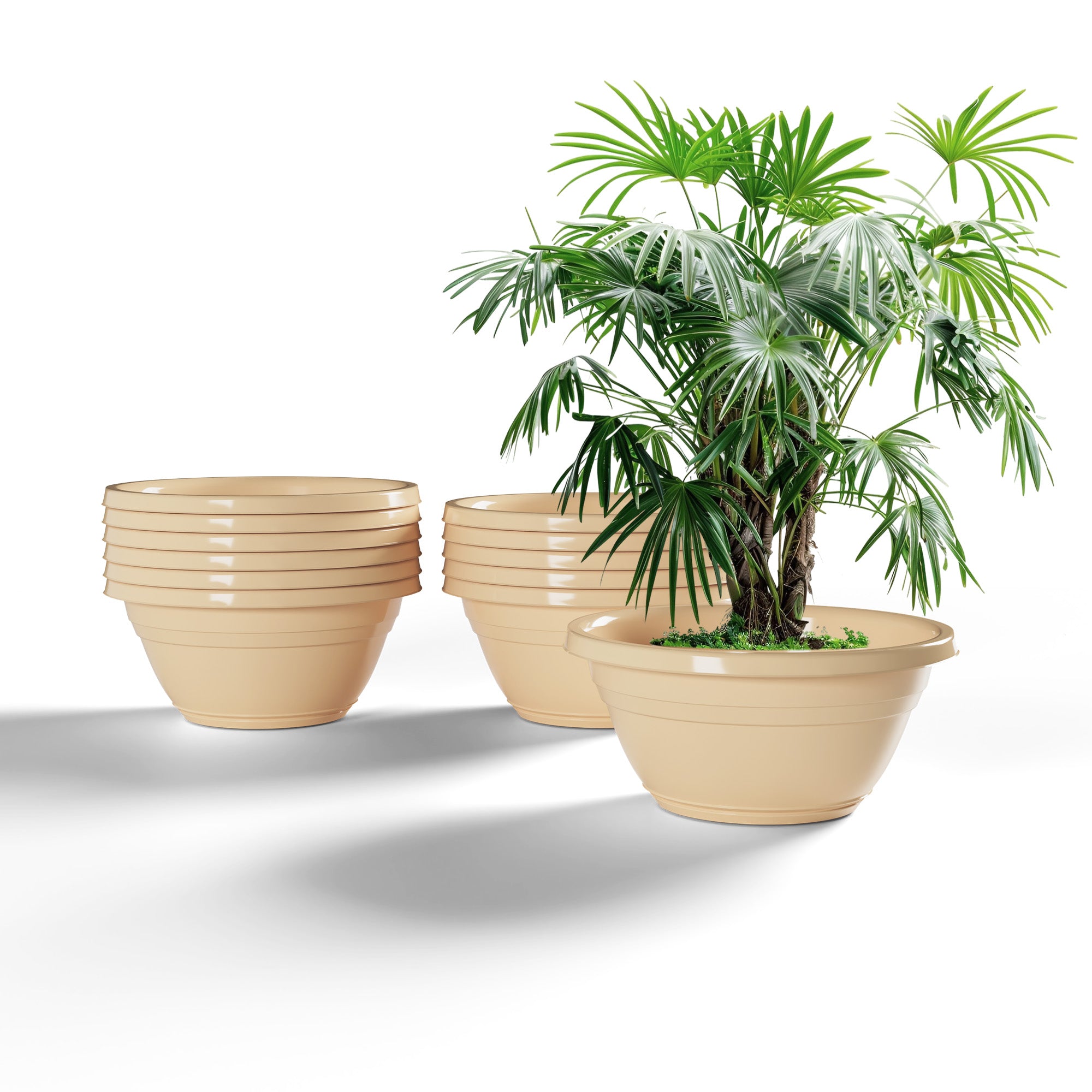 SHERA | BOTANICA BONSAI KTR PLANTER