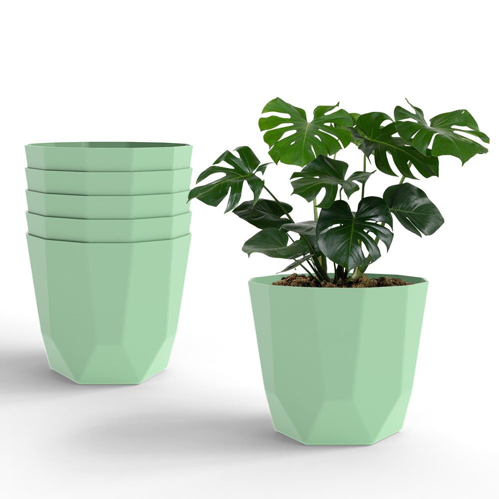 SHERA | HEXA PLANTER