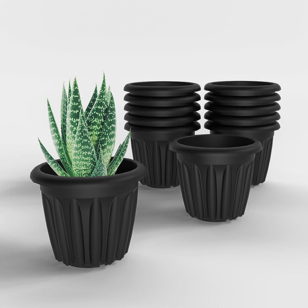 SHERA | FLOOT PLANTER