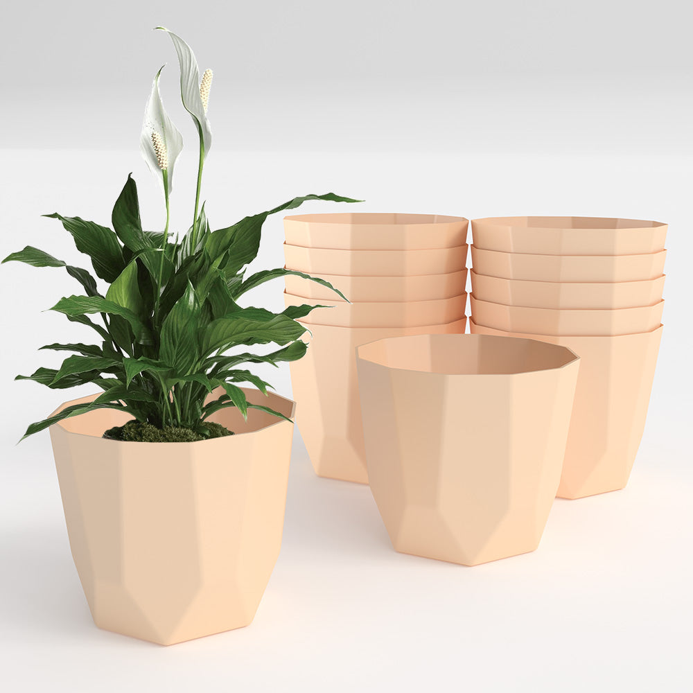 SHERA | HEXA PLANTER