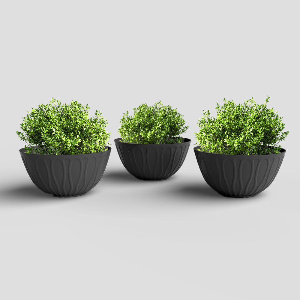 SHERA | WAVE KTR PLANTER
