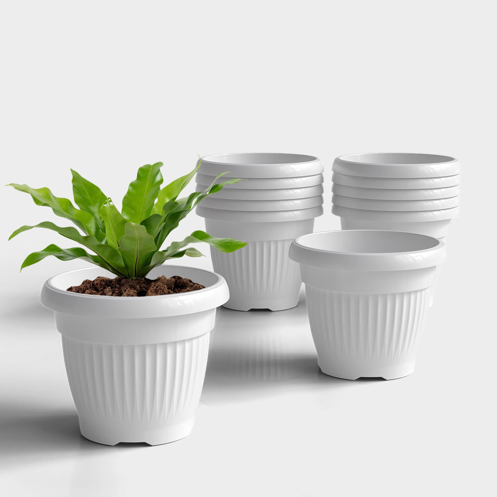 SHERA | BLOOM PLANTER