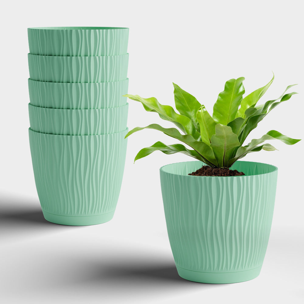 SHERA | EVA PLANTER