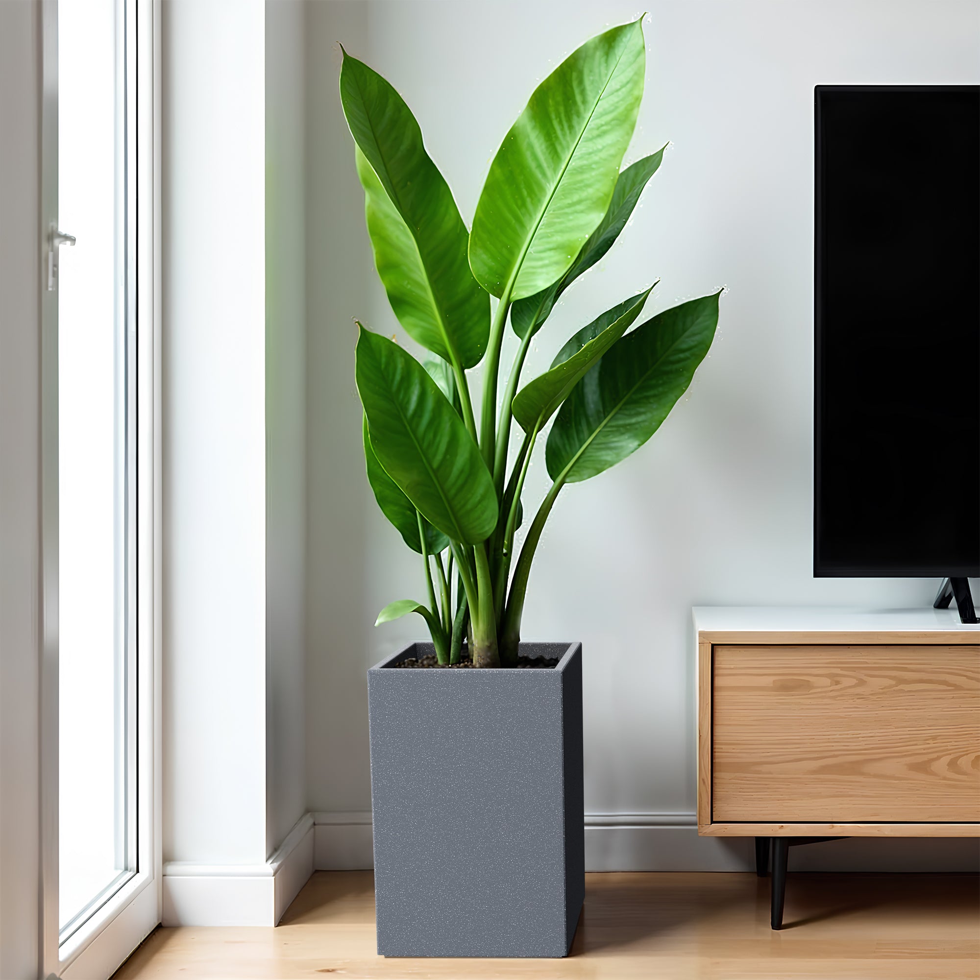 FOX B | CUBO TALL PLANTER