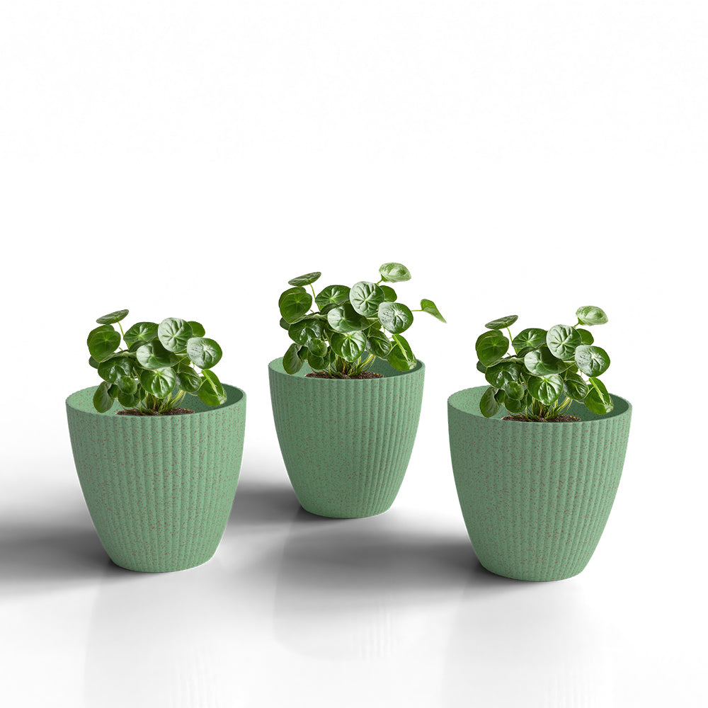 SHERA | LOTUS BIO PLANTER