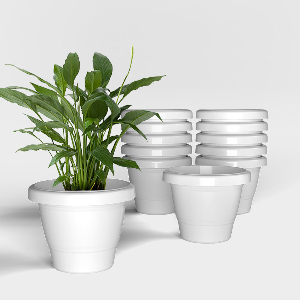 SHERA | SD PLANTER