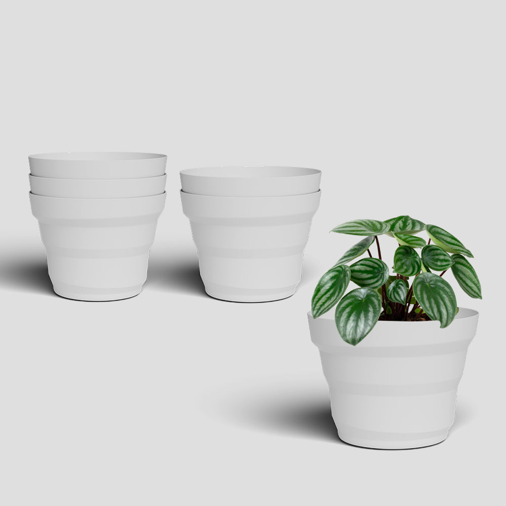 SHERA | RING PLANTER