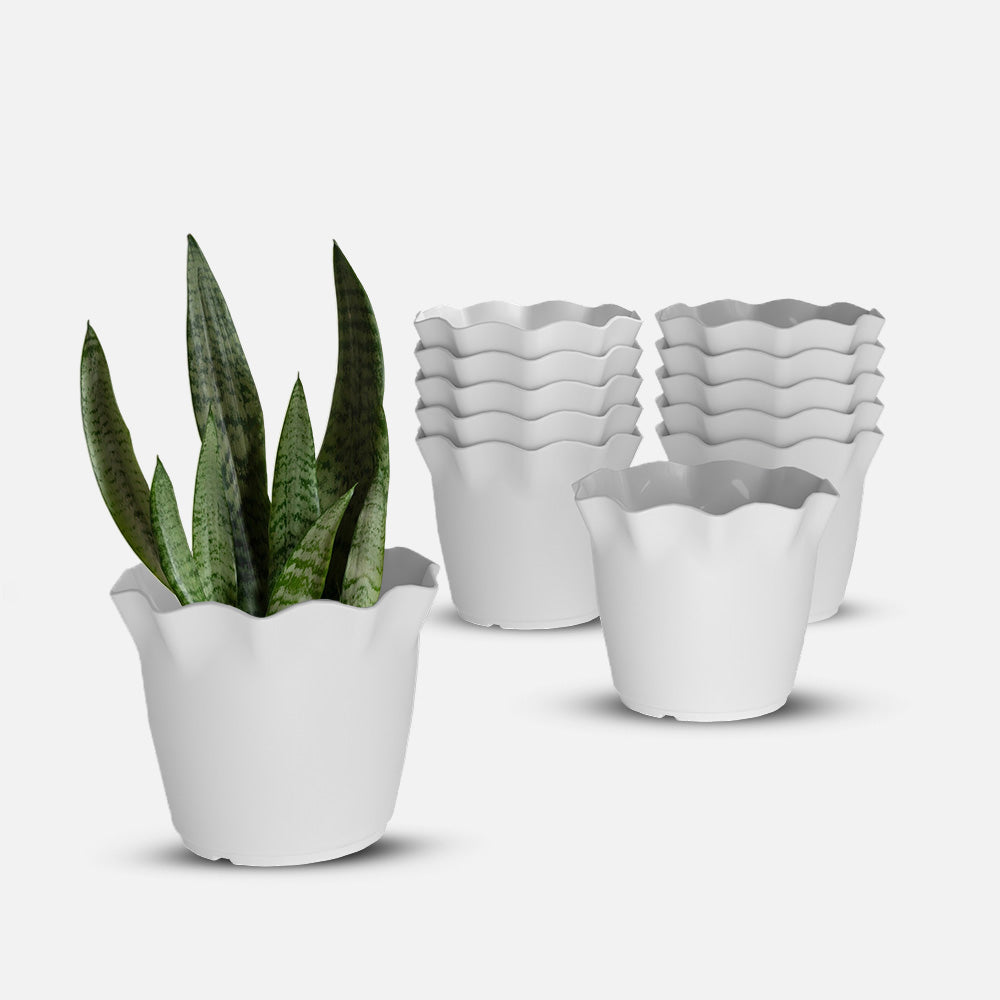 SHERA | FLOWER PLANTER