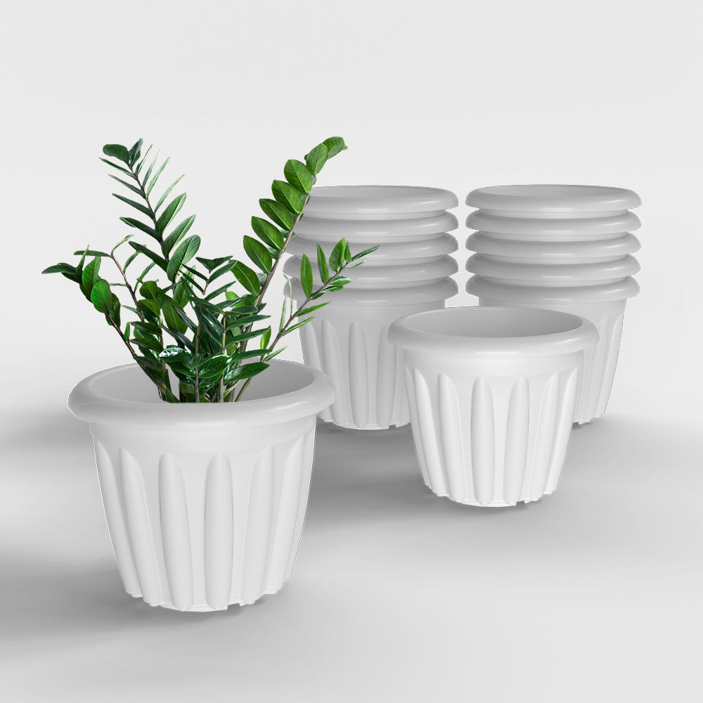 SHERA | FLOOT PLANTER