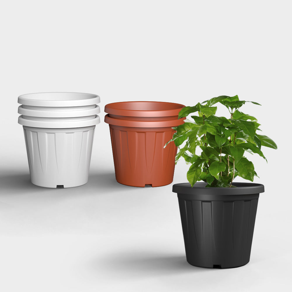 SHERA | CROWN PLANTER