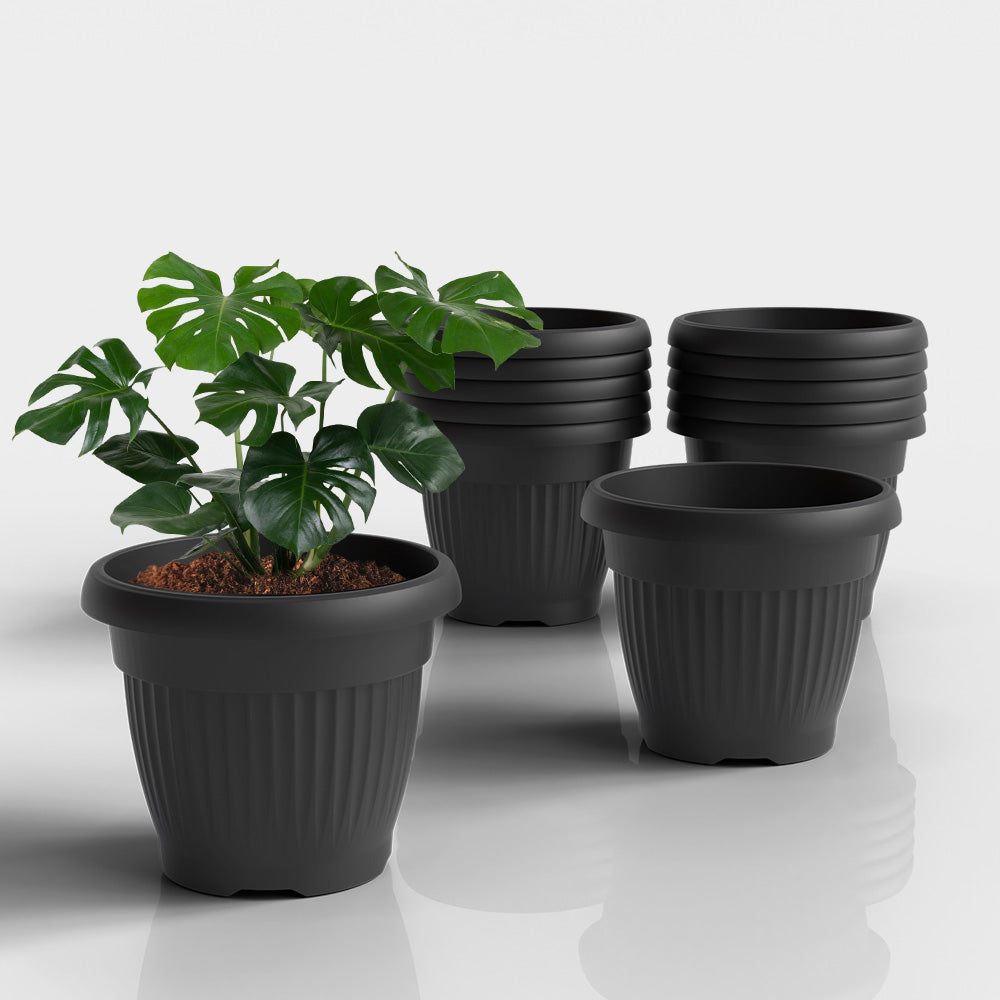 SHERA | BLOOM PLANTER