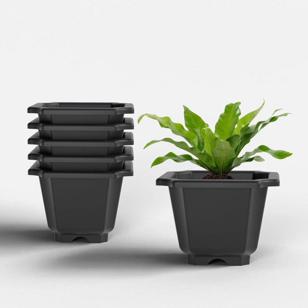 SHERA | OCTA PLANTER SET OF 6