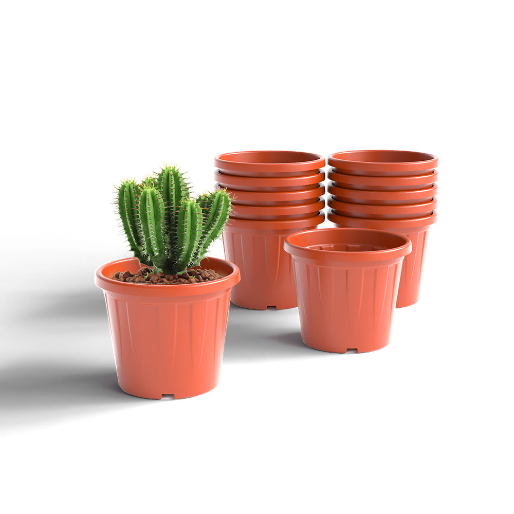 SHERA | CROWN PLANTER