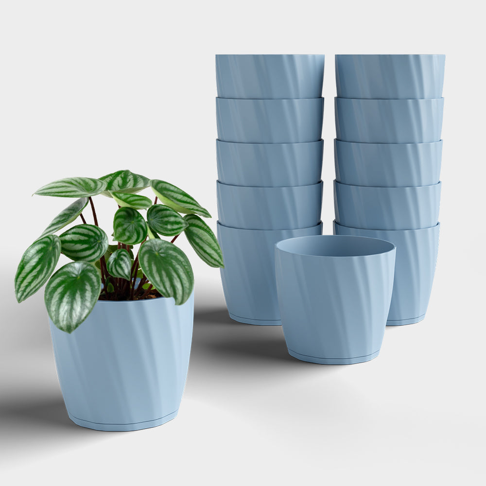 SHERA | ZINNIA PLANTER