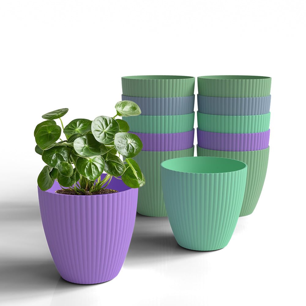 SHERA | LOTUS PLANTER