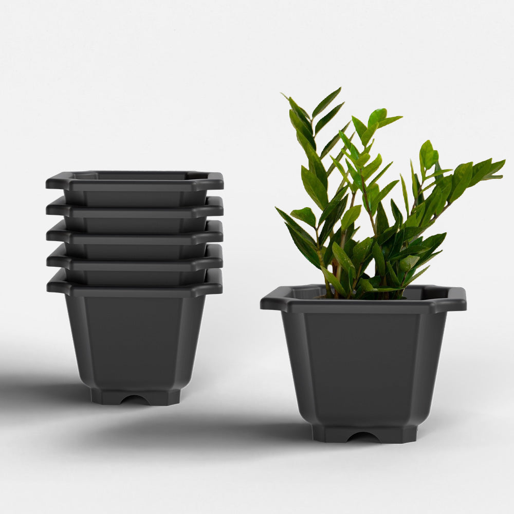 SHERA | OCTA PLANTER SET OF 6