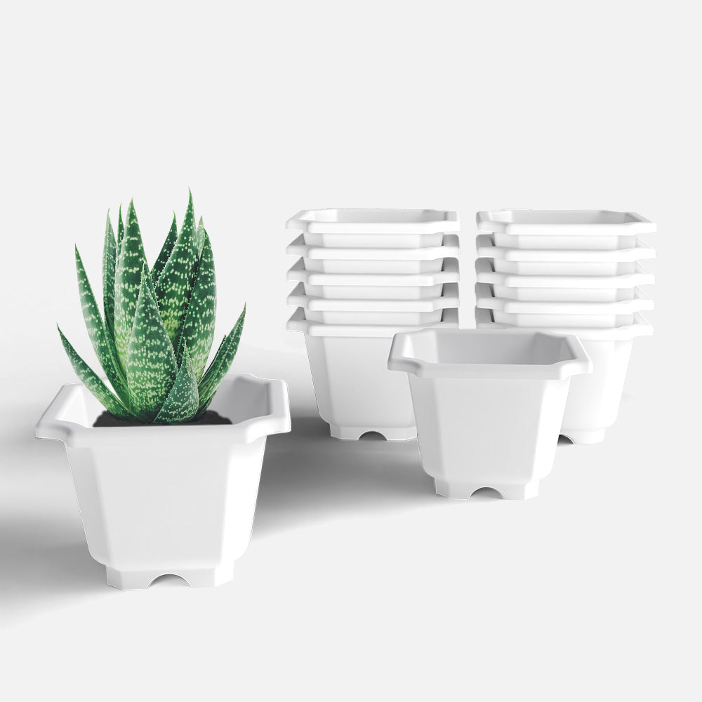 SHERA | OCTA PLANTER SET OF 12