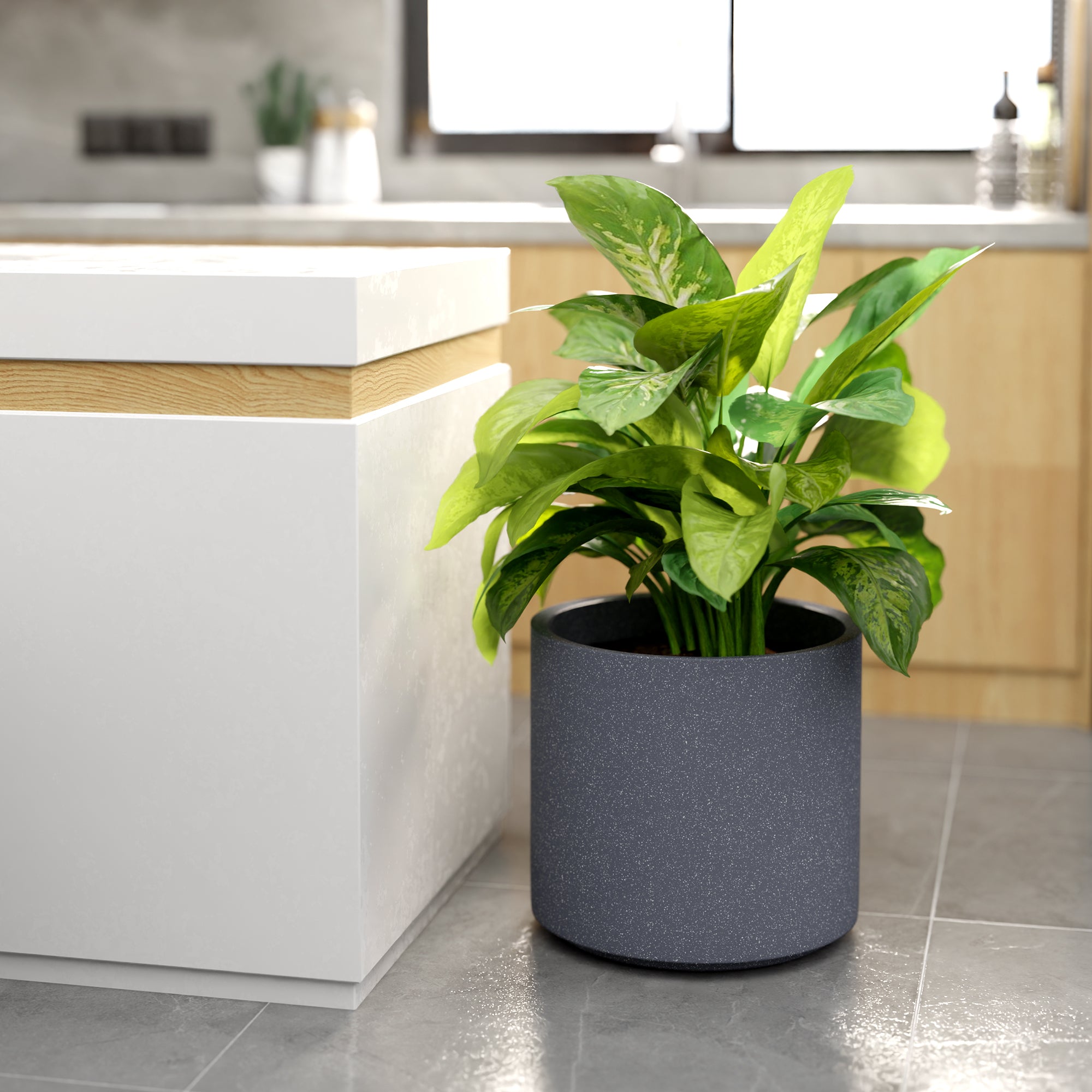 FOX B | CILIN PLANTER