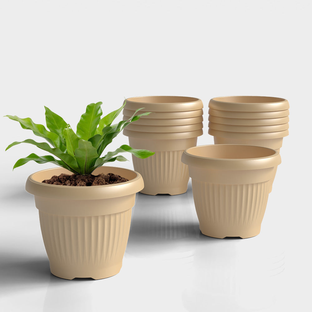 SHERA | BLOOM PLANTER