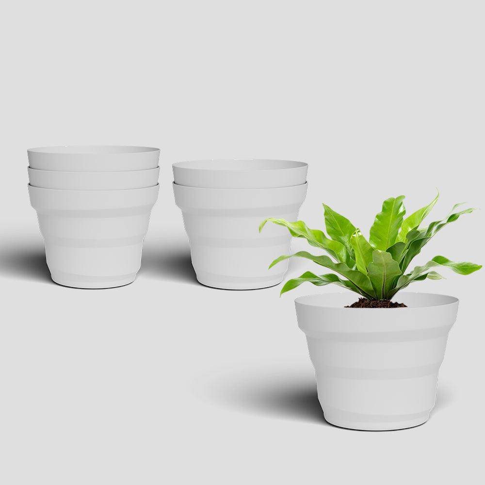 SHERA | RING PLANTER