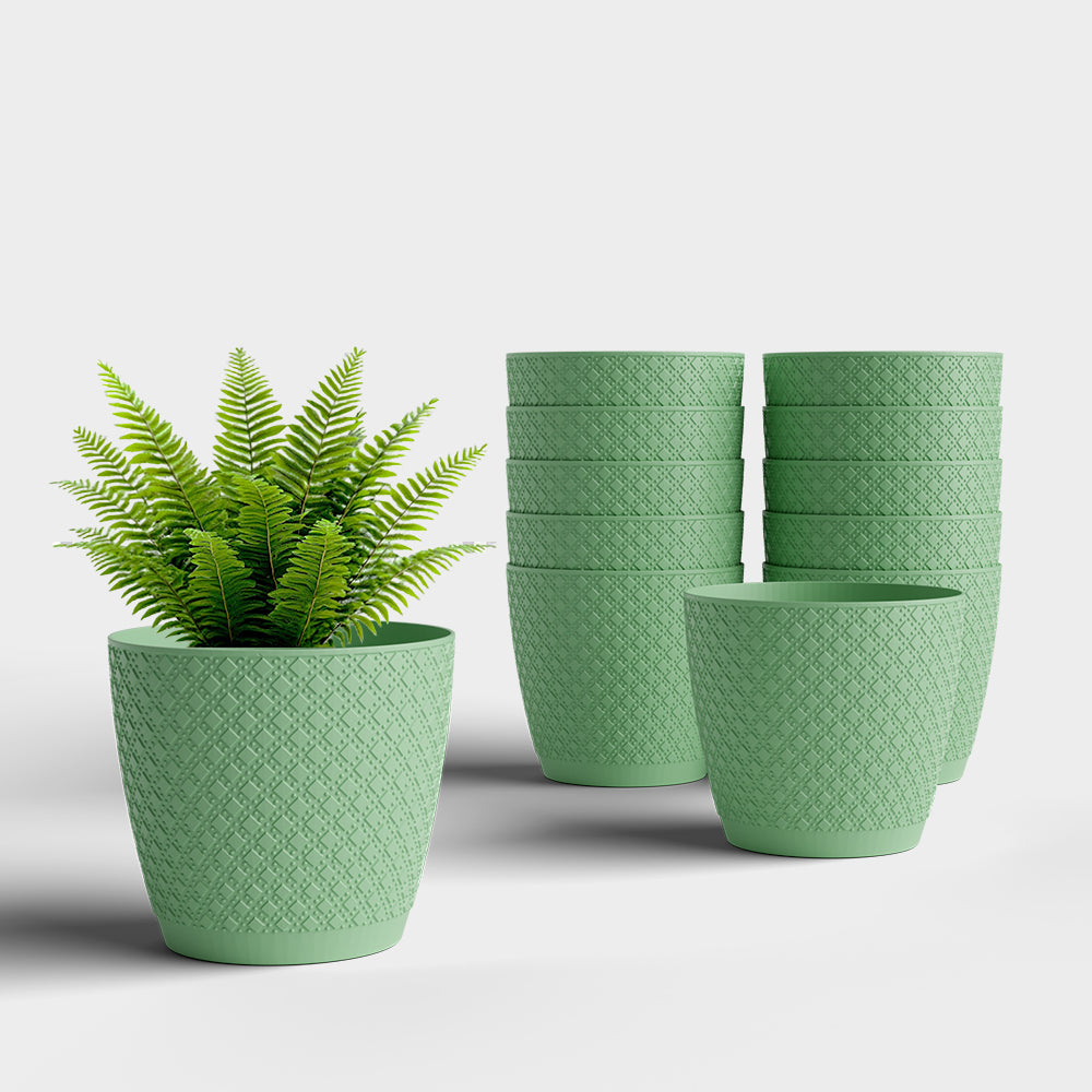 SHERA | CRUZ PLANTER