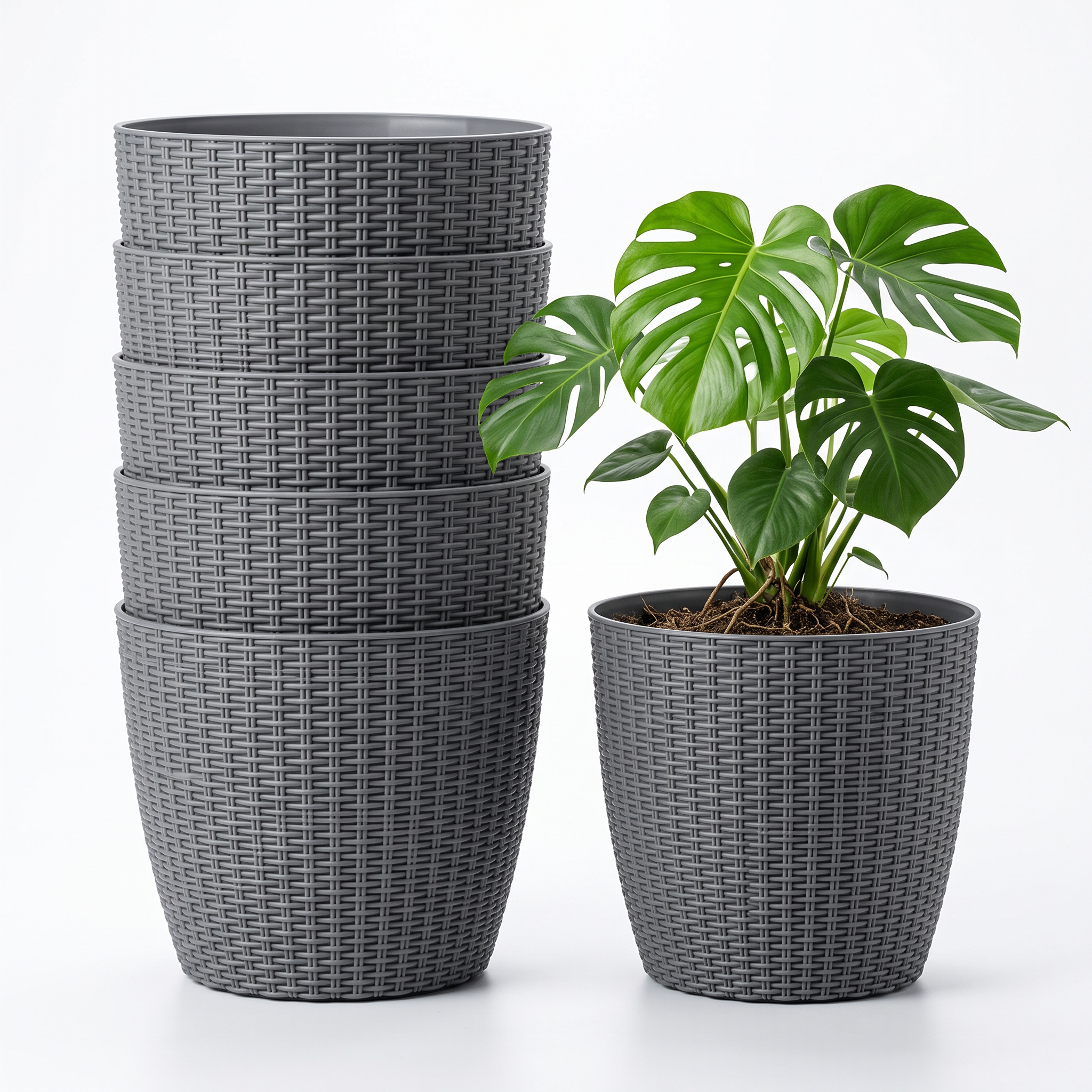 SHERA | STELLA R PLANTER