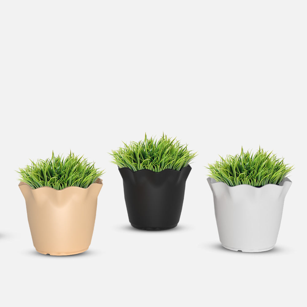 SHERA | FLOWER PLANTER