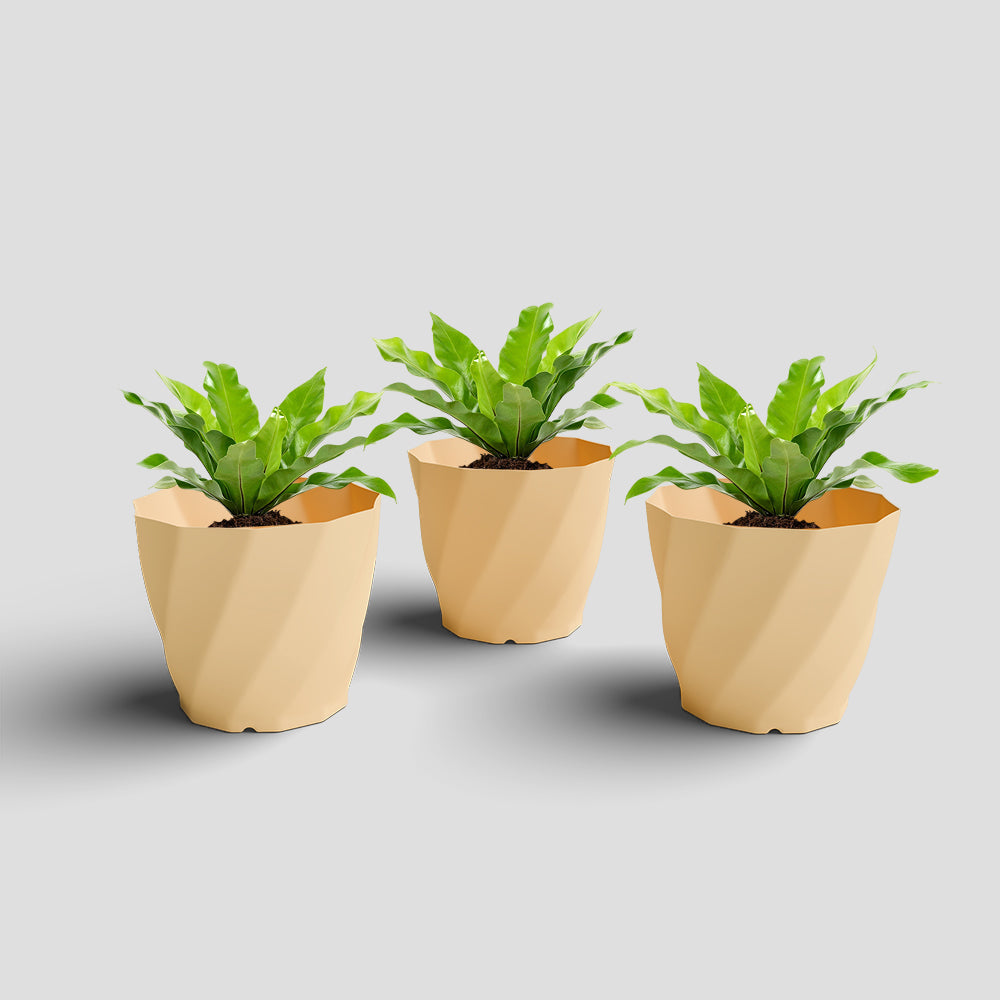 SHERA | SWIRL PLANTER