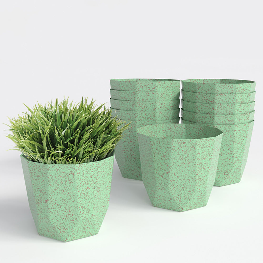 SHERA | HEXA BIO PLANTER