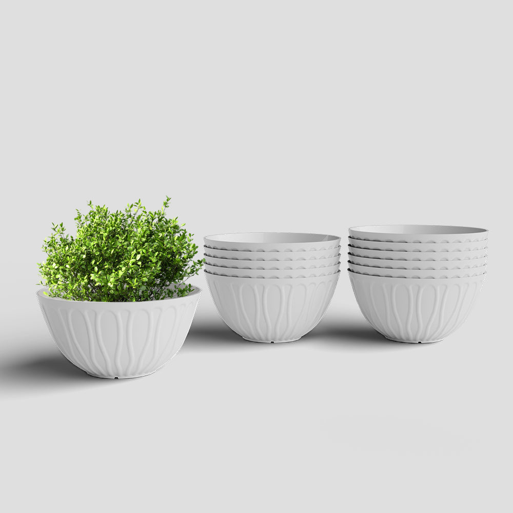SHERA | WAVE KTR PLANTER
