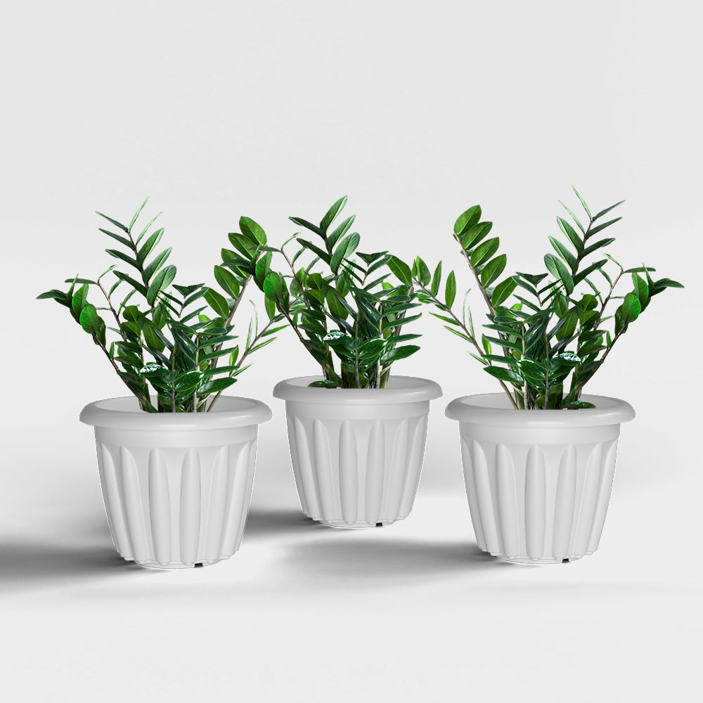 SHERA | FLOOT PLANTER