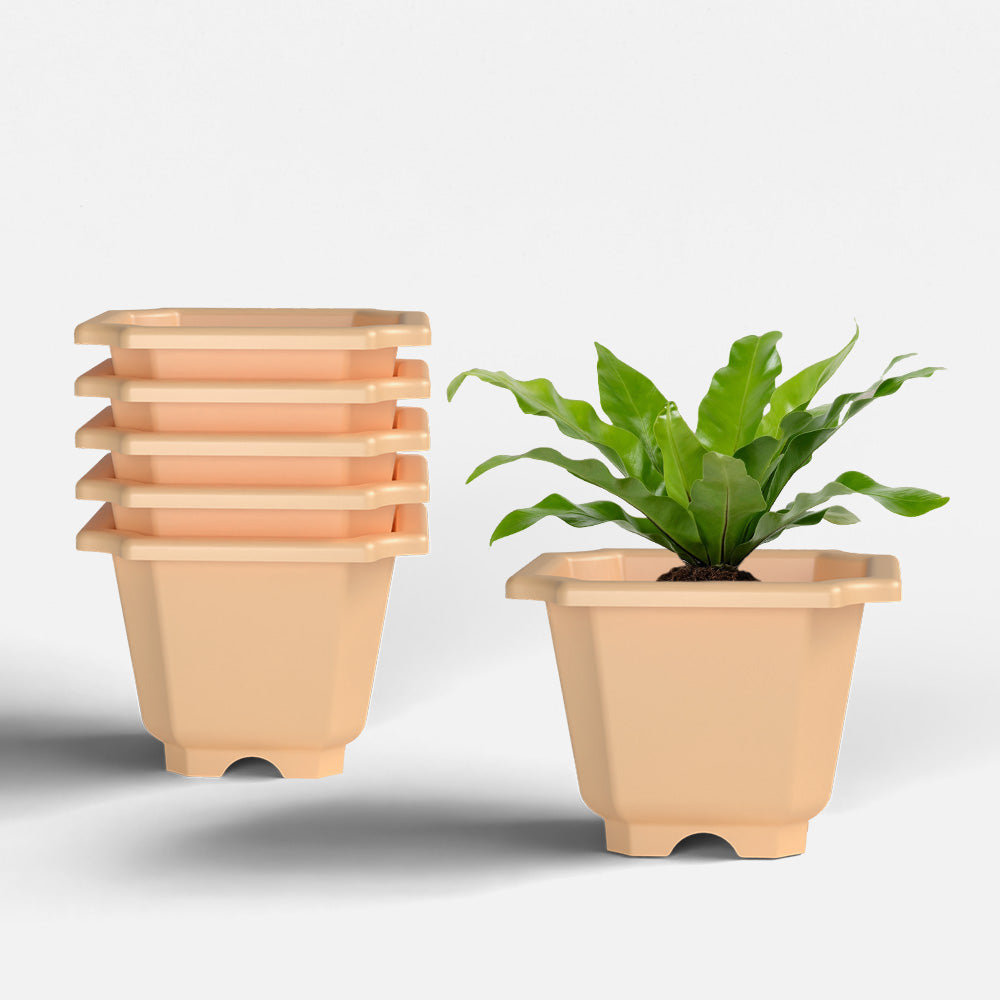 SHERA | OCTA PLANTER SET OF 6